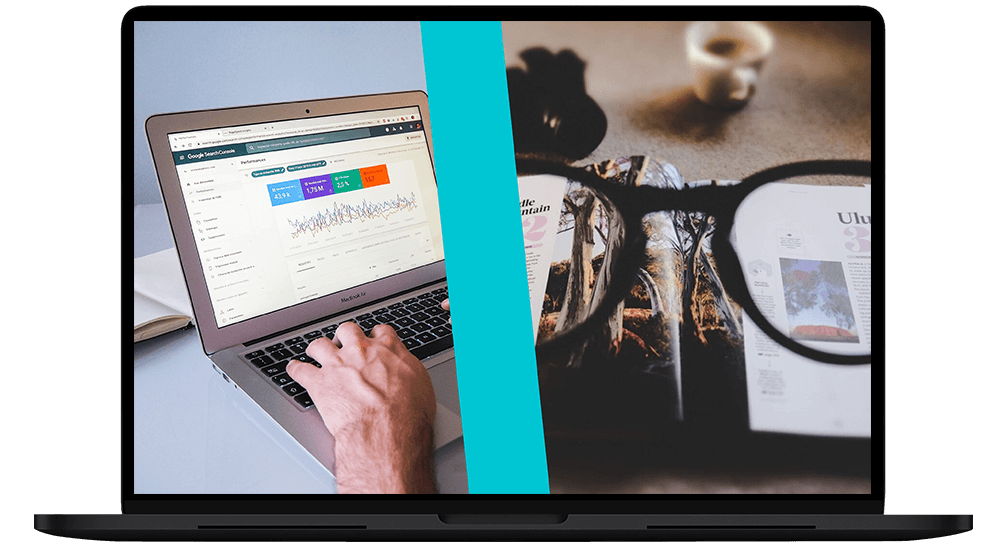 Digilistcis seo case study